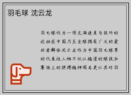 羽毛球 沈云龙